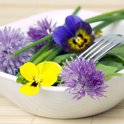 Edible Flower Seed Mix - Image 4