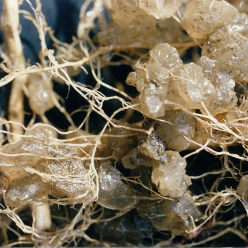 Soil Moist - Image 3
