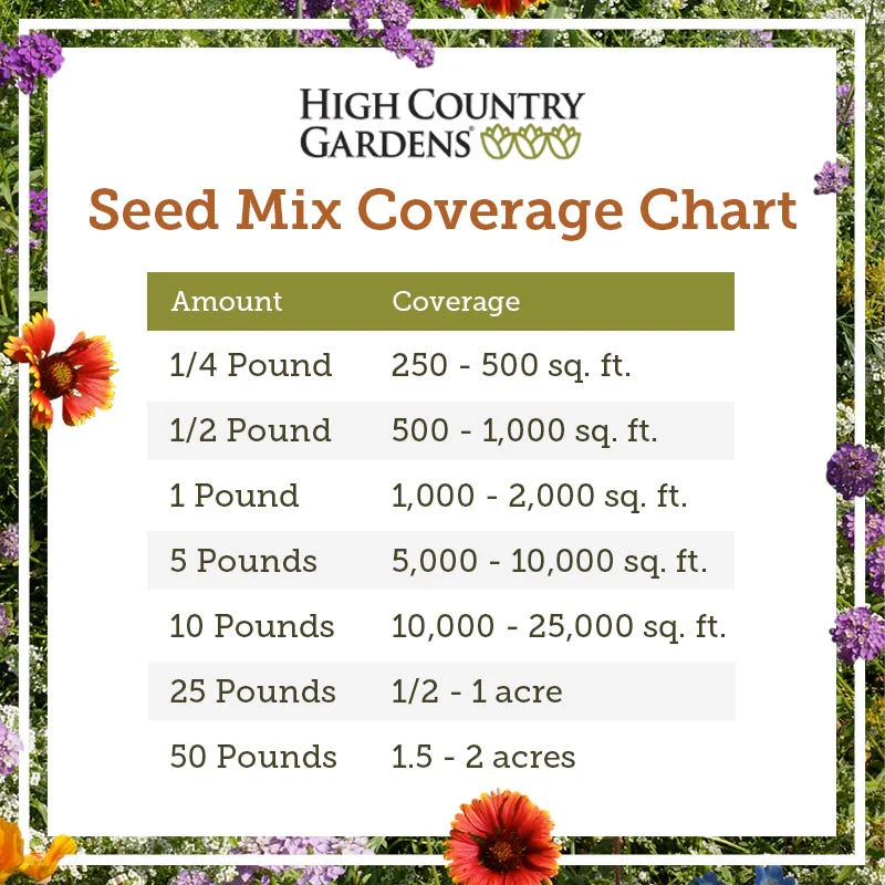 Midwest Wildflower Seed Mix - Image 4