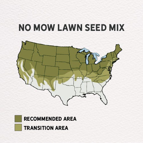 No Mow Lawn Grass Seed - Image 6