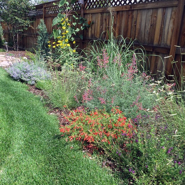 Habitat Hero Birdwatcher Pre-Planned Garden - Image 3