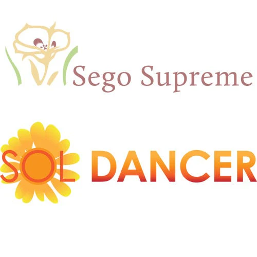 Sol Dancer Daisy (Hymenoxys) - Image 6