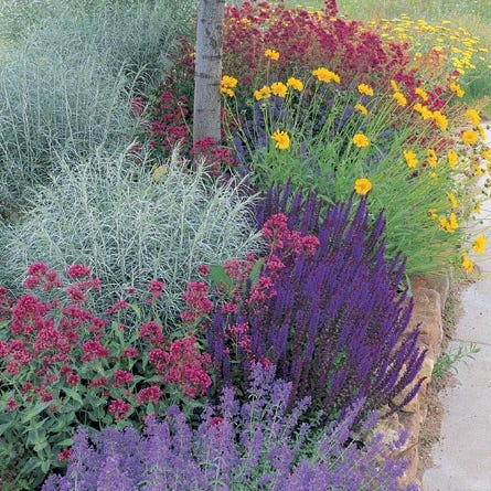 Jumbo Waterwise Pre-Planned Garden - Image 4
